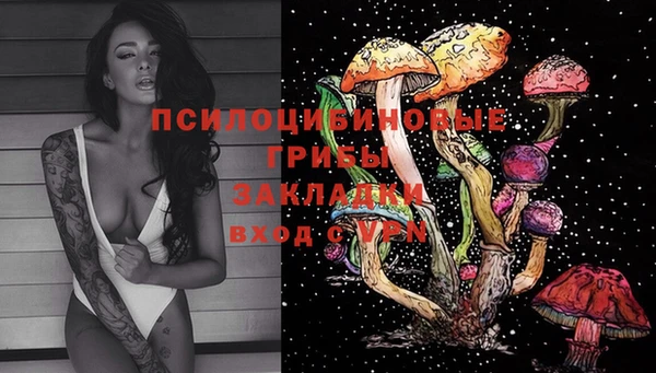 ECSTASY Абаза